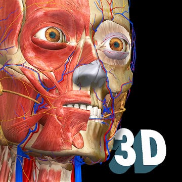 Cover Image of Anatomy Learning v2.1.329 APK + MOD (Full Version Unlocked)